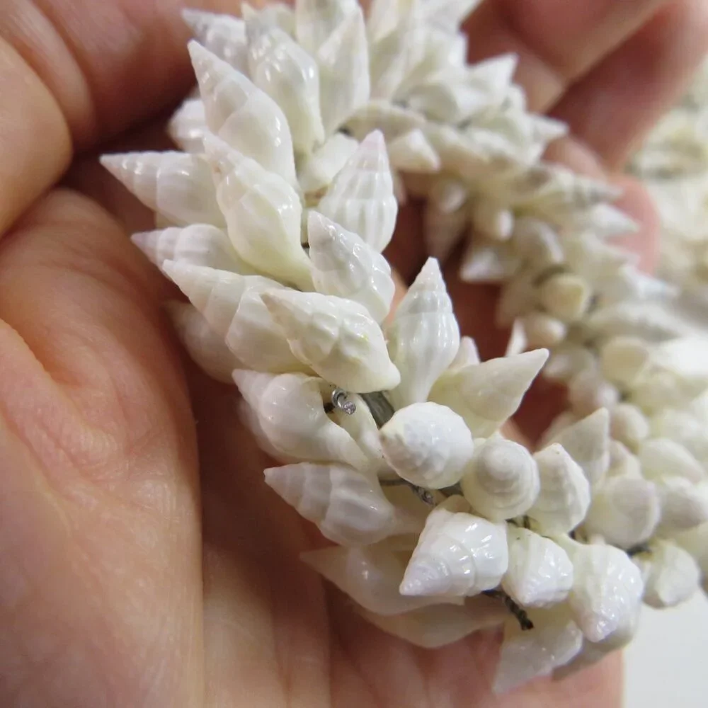 Tiny Real Sea Shell (4) Napkin Rings mini conch 2 1/2